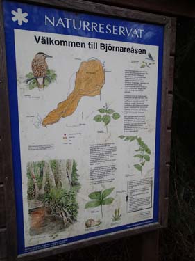Björneåsen