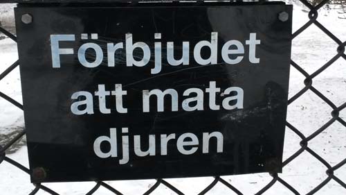 Mata Inte Djuren