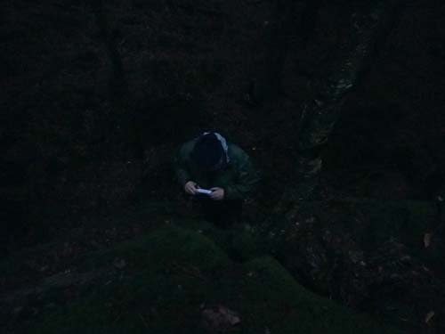 Det går knappt att se Ingabo under loggandet av dagens näst sista burk!