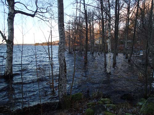 Skogarna börjar nu stå under vatten!