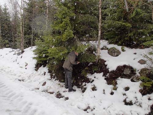 En ganska typisk gömma!