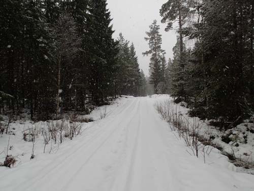 Här gick det inte att köra men väl att gå.