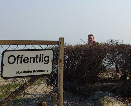 Vad gör Hallén i busken? (Foto: TMR68)