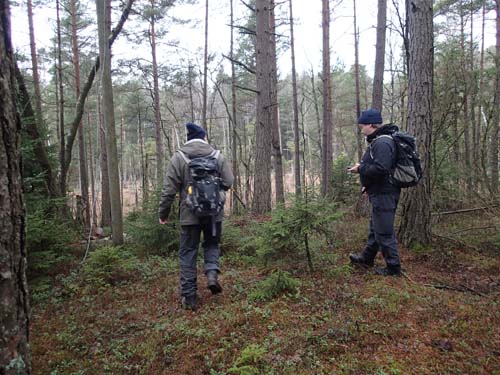 Ut i skogen vill jag gå...