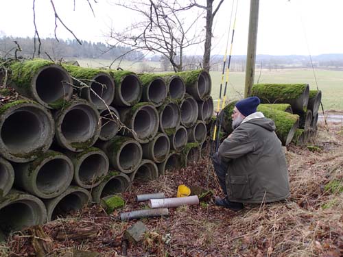 Ingabo i Ingabolunden