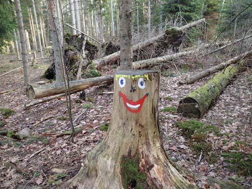 Glada stubbar i skogen!