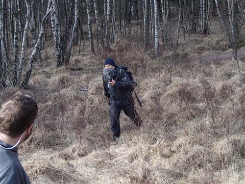 Grått skägg - är det inte Ingabo som springer där borta....?