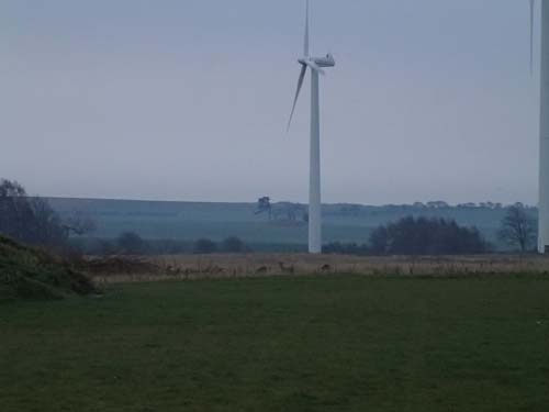 Vindkraft och rådjur