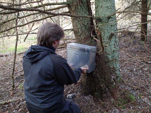 Rejäl låda till finalen på letterboxen!