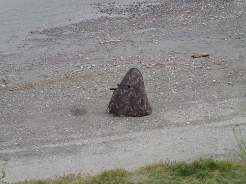 Är det dolda mugglare där inne eller möjligen strutsar som studerar geocachare - så kallade cacheskådare...