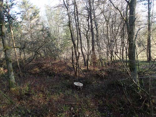 Ser ni något misstänkt....