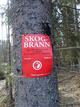 Fara för skogsbrand? Man kanske borde ha tagit sina lågskor då.