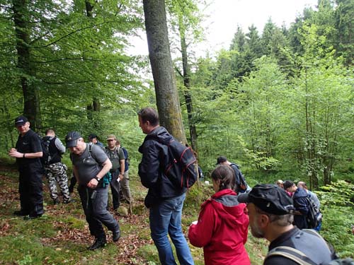 Mycket folk i skogen