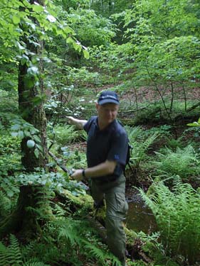 bgr01 tar sig fram genom en djungel