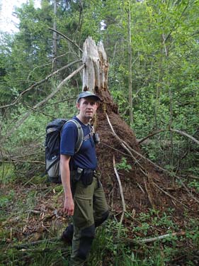 Hallén besöker myrorna...