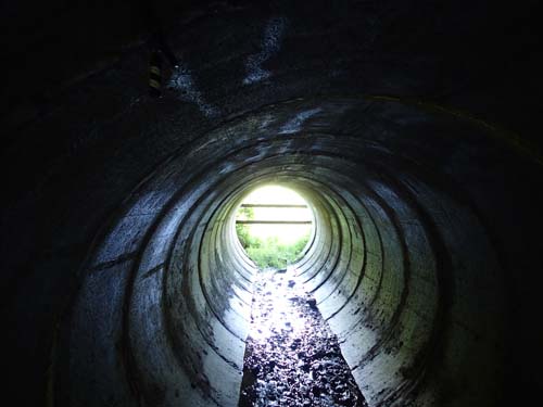 En fägata utan kor...