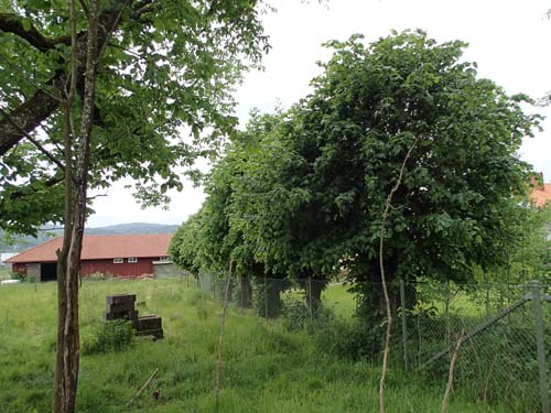 Här har gården legat på samma plats sedan 1600-talet.
