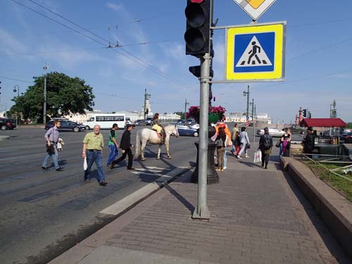 Häst på övergångsstället...