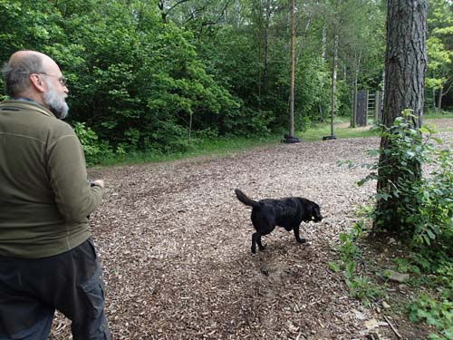 Titta vi har fått en hund!