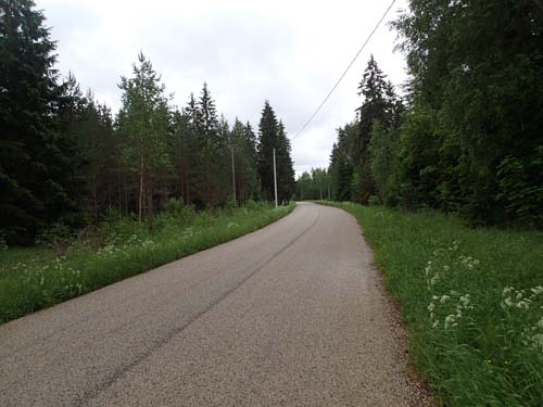 En ganska normal väg utmed trailen.