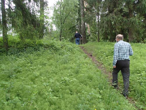 Ingabo passerar fornborgsvallen.