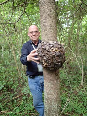 Finalen till mysten var dessutom snyggt utformad.