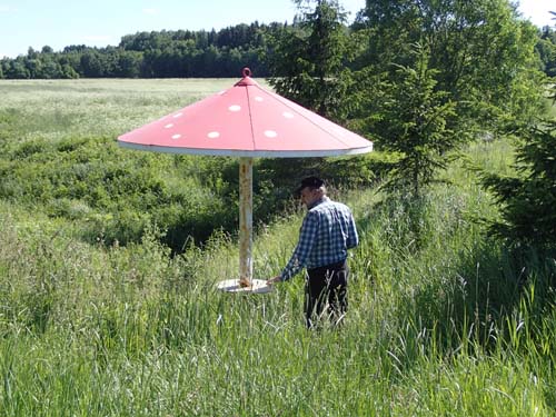 Intressant rastplats!