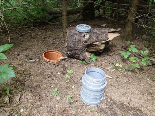 Titta, cachen bryter markytan...