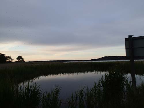 Kvällsvy vid cachen Marina.