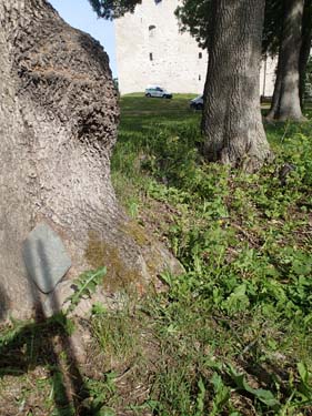 En sten vid ett träd och ett slott i bakgrunden....