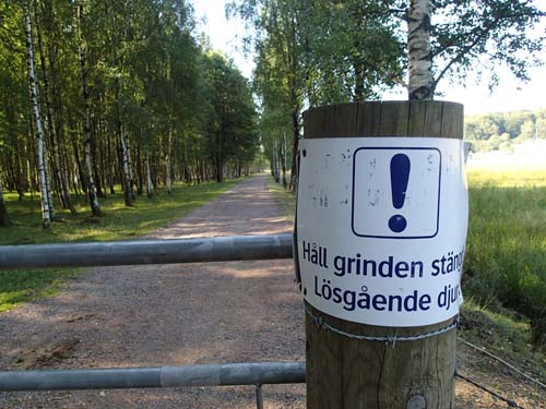 Vad väntar här inne?