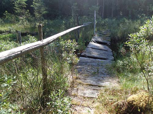 Här behövde vi inte gå över!