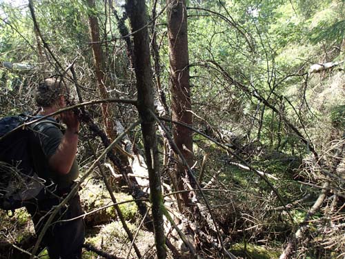 Välkommen ut i naturen!