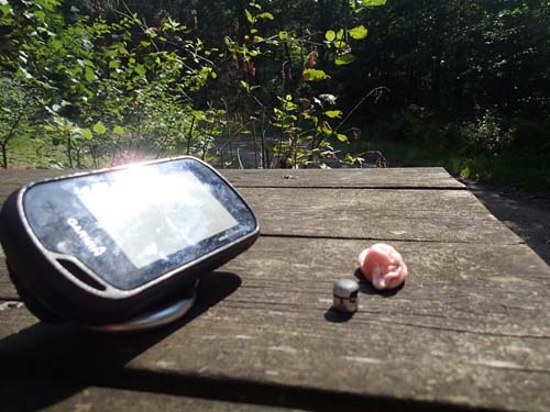 Tuggummi i skogen....