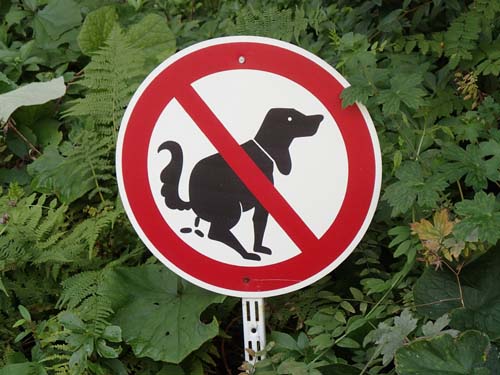 Man skall inte skita i en cache...