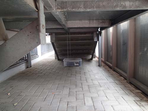 Mitt i centrum kan riktigt stora burkar påträffas!