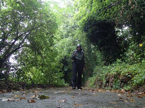 Hallén på vandring