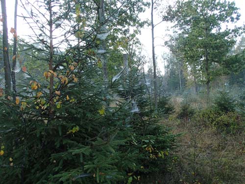 Snart är det jul igen...