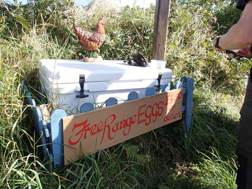 Hönan (hen) vaktar cachen