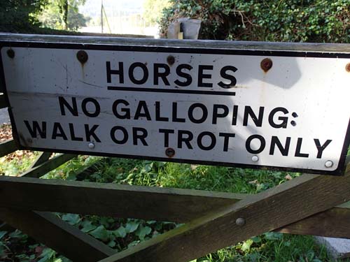 Galoppera inte här Hallén...