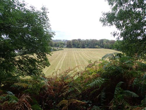 Utsikt över det troliga slagfältet.