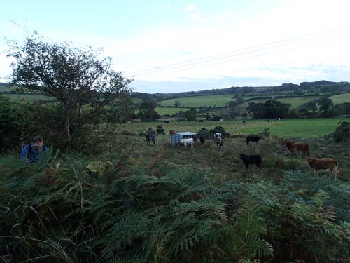 Nyfikna åskådare utmed banvallen när man loggade en burk!