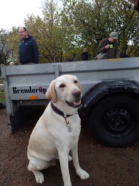 Här har vi självaste födelsedagshunden!