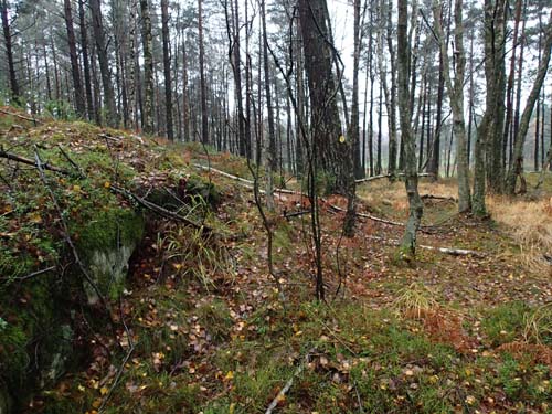 Fore - där borta skymtar man golfbanan!