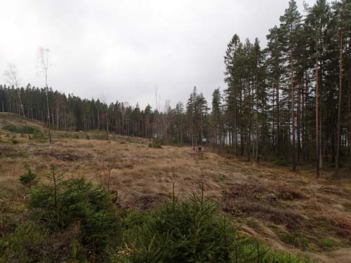 Det var många mugglare ute och vandrade.