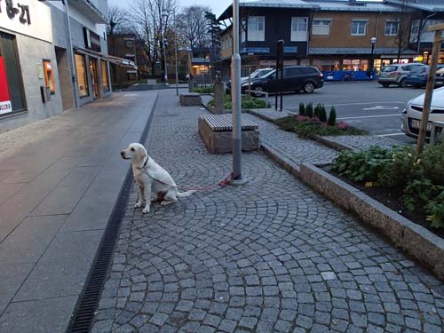 Sittande hette statyn vi skulle finna, kan detta vara rätt...?