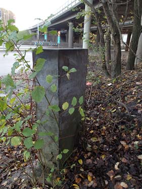 Ingen cache fanns att logga.