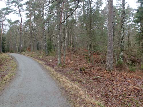 Nära Min första skatt-cachen