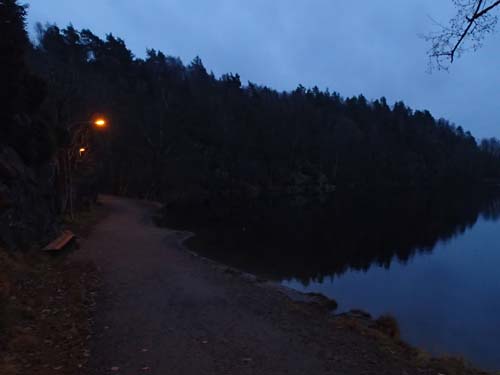 Ljuset började sprida sig över skogen när jag nådde Blacktjärn vid åtta tiden.