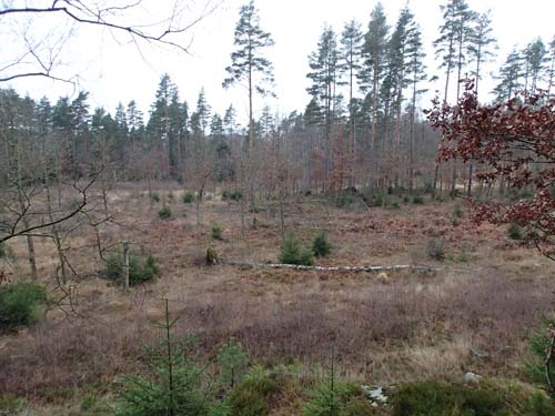 Här ute på Bureslätten sitter en Hallén-burk...